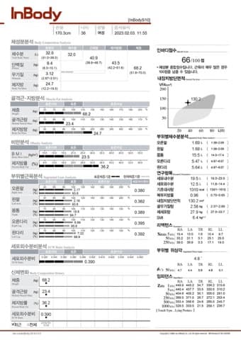 30대 여성 인바디 전